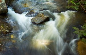 46  AK318-Bicknel-Brook.jpg